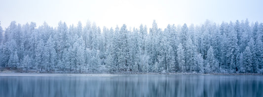 Medical Lake