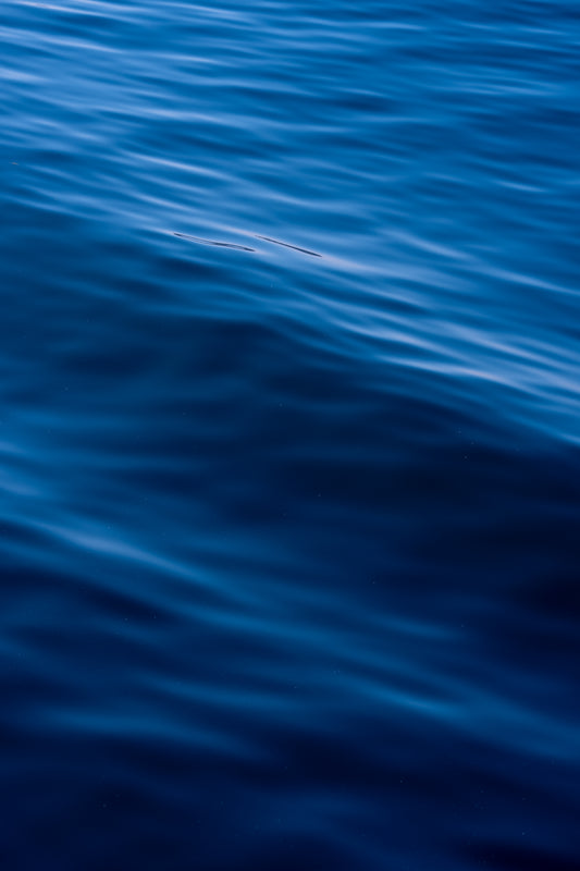 Deep Blue Currents